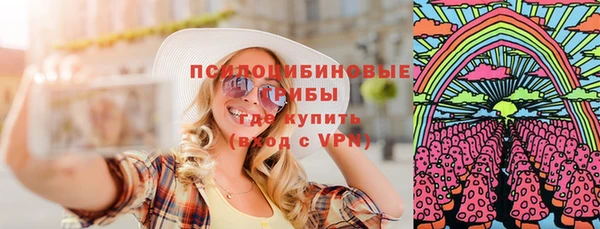 прущие грибы Нижний Тагил