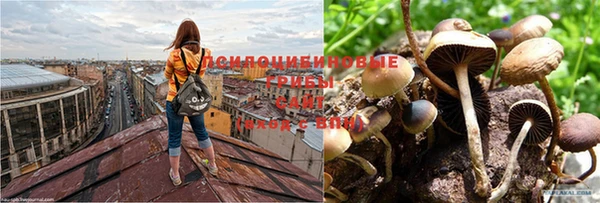 не бодяженный Липки