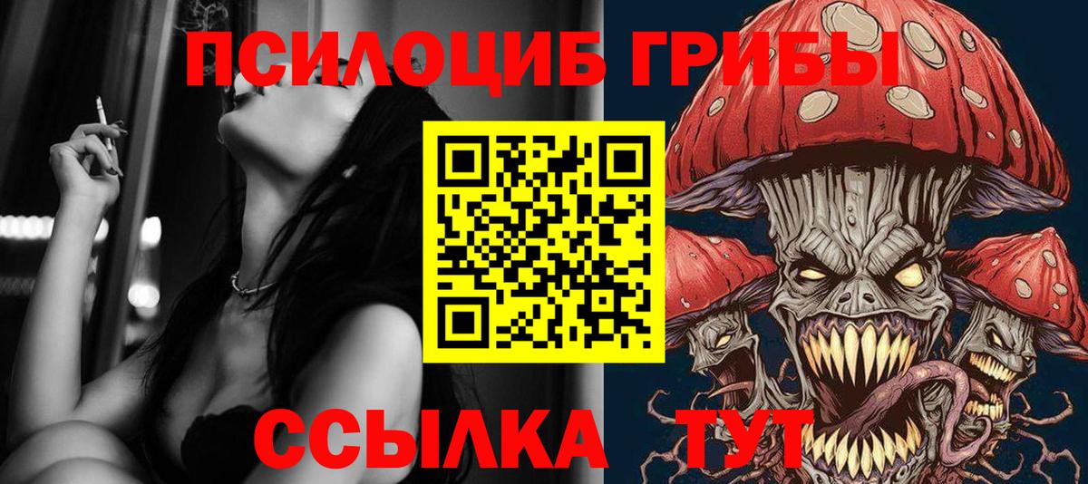 Псилоцибиновые грибы прущие грибы  Лыткарино 