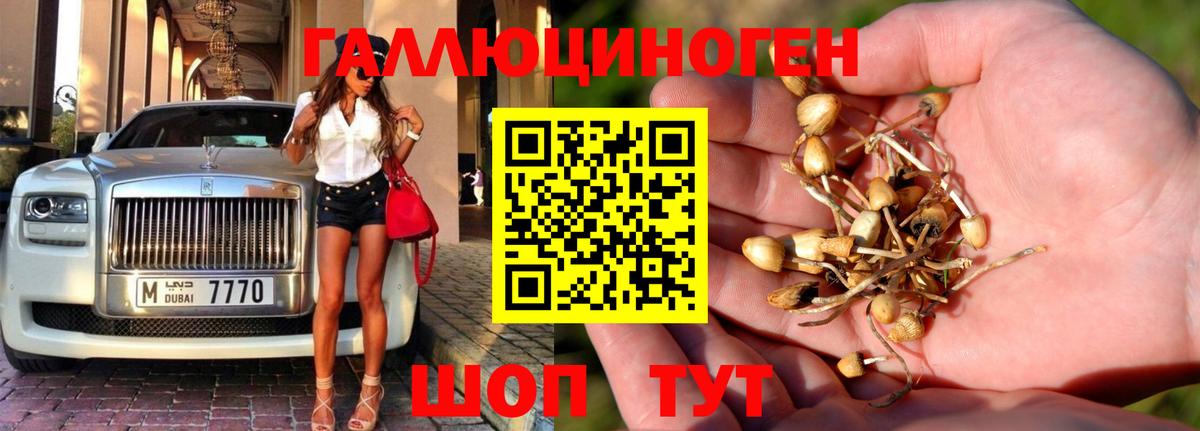 Галлюциногенные грибы Magic Shrooms Лыткарино