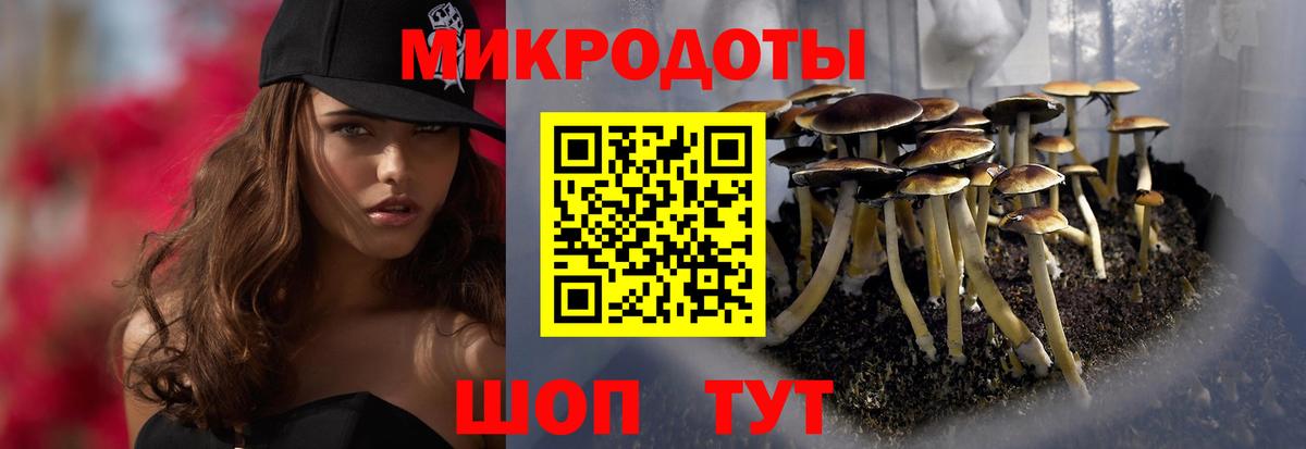 Псилоцибиновые грибы MAGIC MUSHROOMS Лыткарино