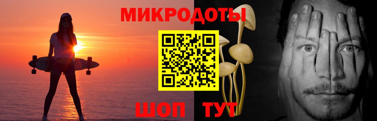 Лыткарино  Псилоцибиновые грибы Psilocybine cubensis  Вход с VPN 